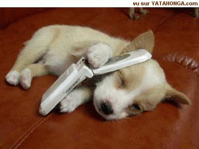 allo??. . . .allo??